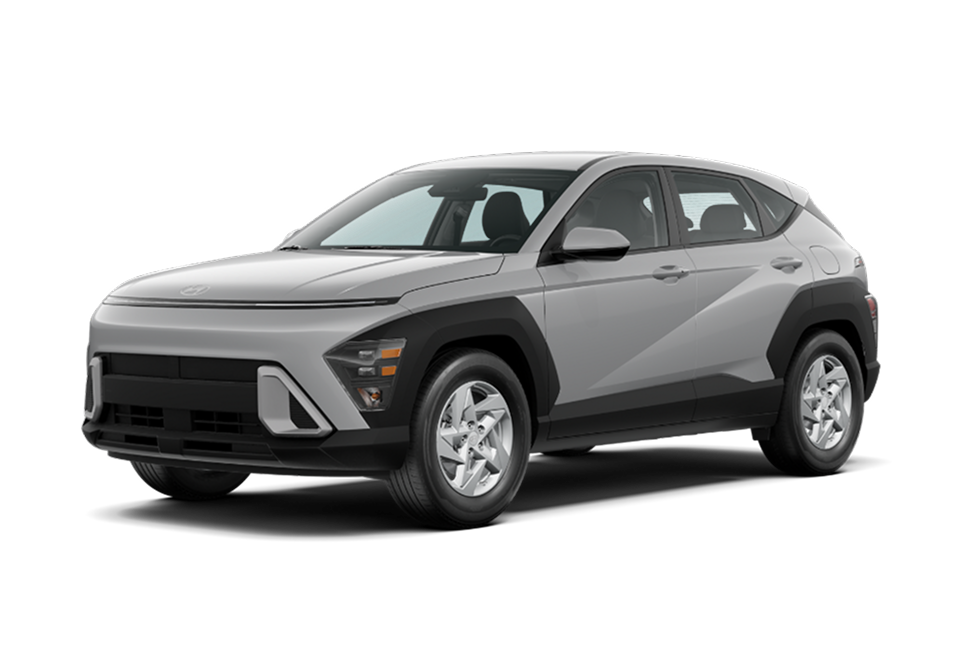 Cyber Gray Metallic