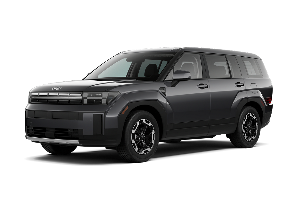 Ecotronic Gray