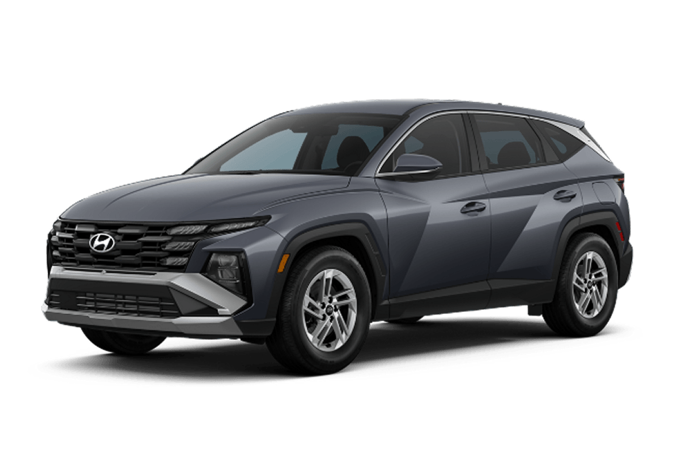 Ecotronic Gray