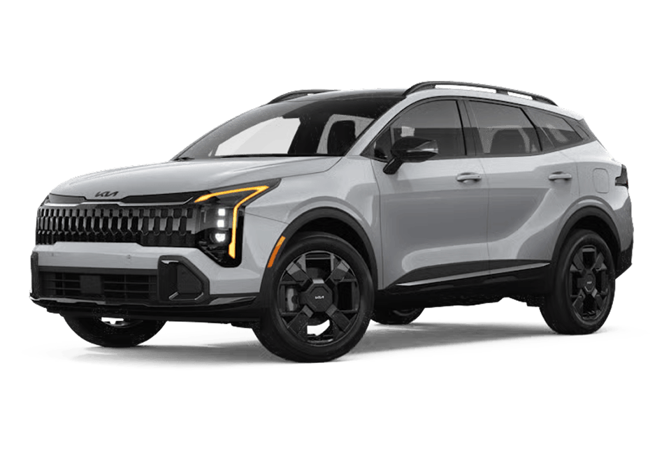 Wolf Gray