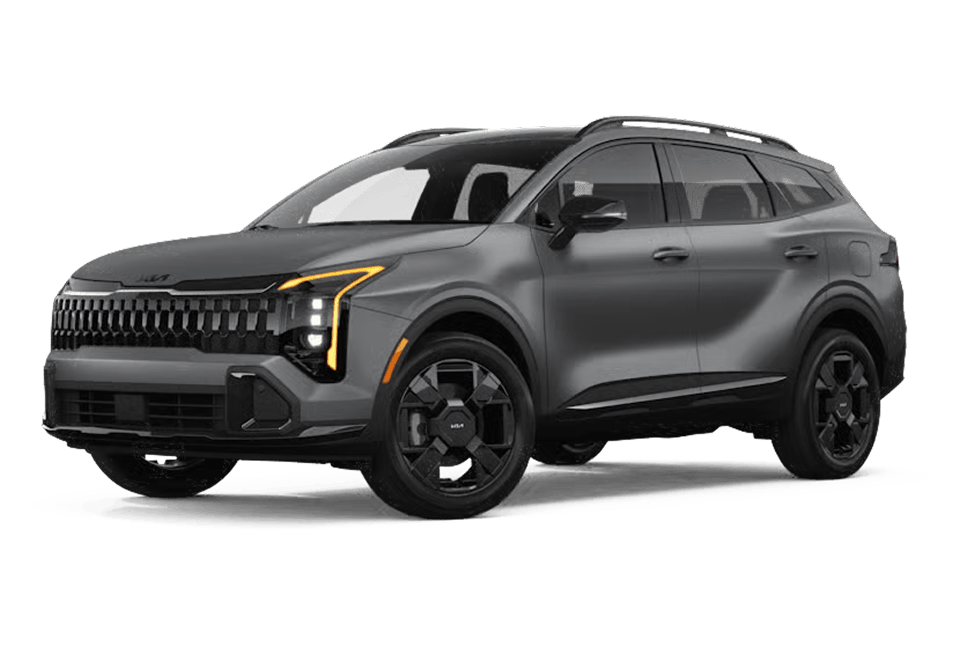 Shadow Matte Gray